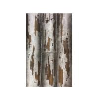 Корвинов+Нагель фото 0