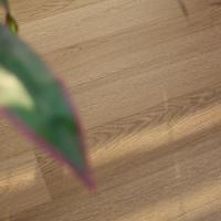 Инженерная доска Royal Parket Royal Park 155 мм Дуб Натур Фаро