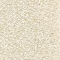 Ivory фото 0