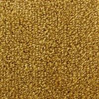 156 Gold фото 1