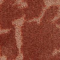 245 Terracotta фото 0