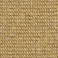 543 Corn фото 1
