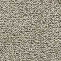 524 Salix фото 1