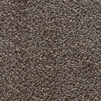 333 Coyote фото 1