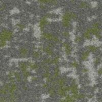 622 Fern фото 0