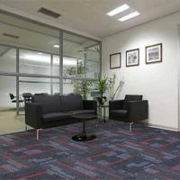 Ковровая плитка Haima Falcon 2005