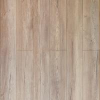 D1871 Дуб Небесный фото 1