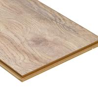 D1871 Дуб Небесный фото 2