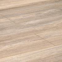 D1871 Дуб Небесный фото 3