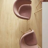 ALX00553SPR Дуб пшеничный золотой фото 1