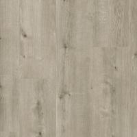 ALX00428JUM Дуб заснеженный фото 2