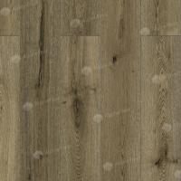 LF101-22 Дуб Эмполи фото 1