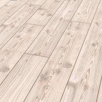 D 2967 Пихта Сибирская фото 3