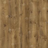 54845 Дуб Серенгети фото 3