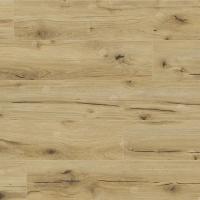 62747 Дуб Анаргоса фото 3