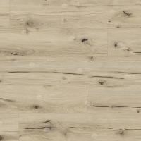 62748 Дуб Дамара фото 3