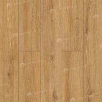 62752 Дуб Хамра фото 3