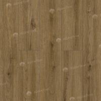 62755 Дуб Котор фото 3