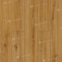 62756 Дуб Макан фото 3