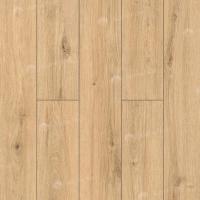 62757 Дуб Намиб фото 3