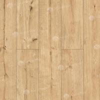 55092 Дуб Атакама фото 3