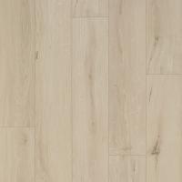 2500 V4 Гиант Светло-Бежевый фото 1