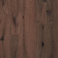 2502 V4 Гиант Тепло-Коричневый фото 2