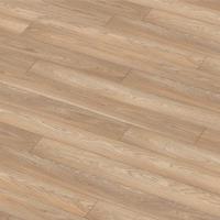 1872059 Дуб Сахара фото 1