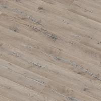 1872081 Дуб Порту фото 1