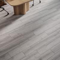 EPL205 Дуб Шерман светло-серый фото 1