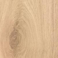 905 Дуб Тилбург фото 1