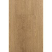 1F406 Дуб Парма фото 1