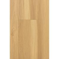 1F314 Дуб Кэндор фото 1