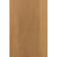 1F316 Дуб Джусто фото 1