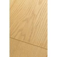 1F320 Дуб Пактум фото 2