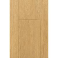 1F321 Дуб Гравитас фото 1