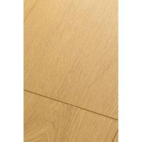 1F321 Дуб Гравитас фото 2