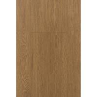 1F324 Дуб Аурис фото 1