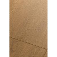 1F324 Дуб Аурис фото 2