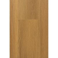 1F328 Дуб Апертус фото 1