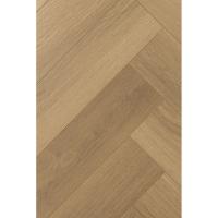 1F335 Английская Ёлка Дуб Констанция фото 1