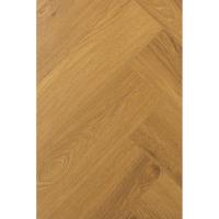 1F344 Английская Ёлка Дуб Апертус фото 2