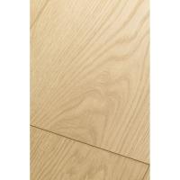 1F303 Дуб Софи фото 2