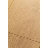 1F308 Дуб Аморе фото 2