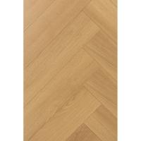 1F310 Английская Ёлка Дуб Аморе фото 2