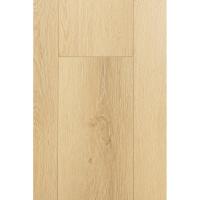 1F413 Дуб Эклипс фото 1