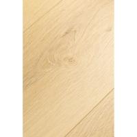 1F413 Дуб Эклипс фото 2