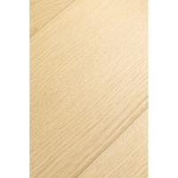 1F417 Дуб Зефир фото 2