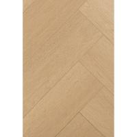 1F442 Английская Ёлка Дуб Одалиска фото 1