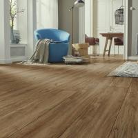 FW006 Аист фото 0